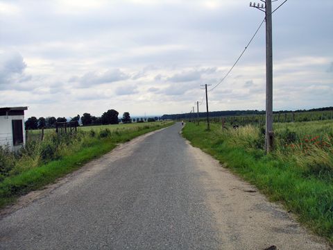 Foto 38